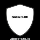 PristineFX.ICU