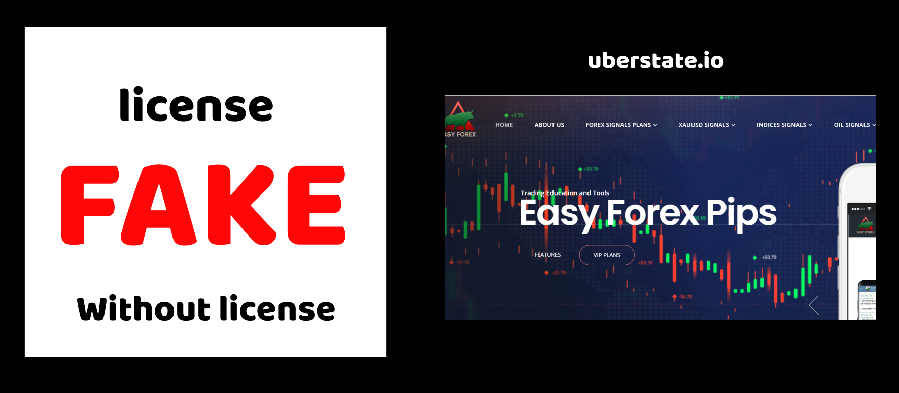 easyforexpips.com review