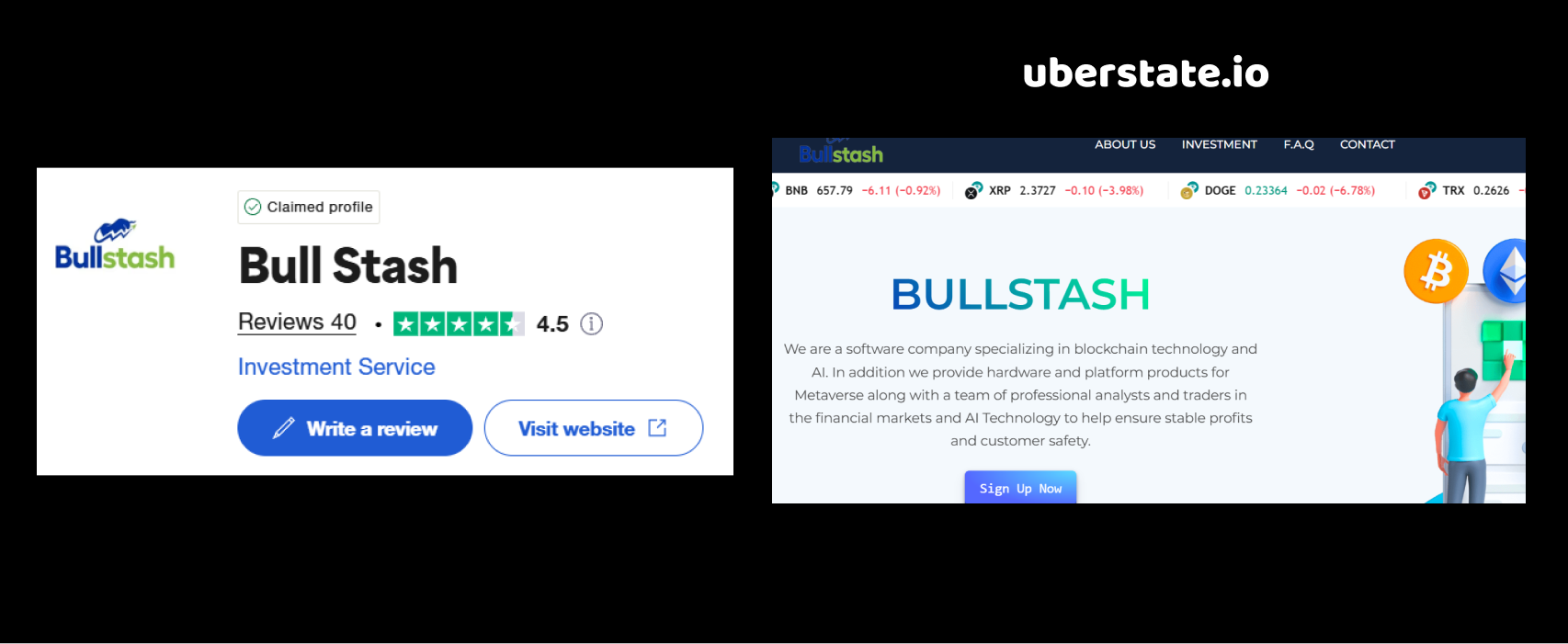 bullstash.org review
